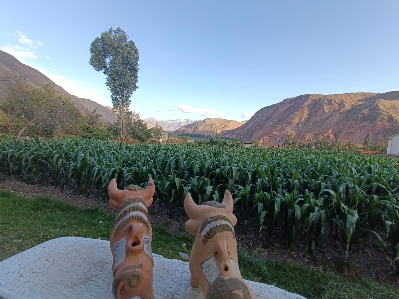 Casa Yanahuara Valle Sagrado - 우루밤바 외부 사진